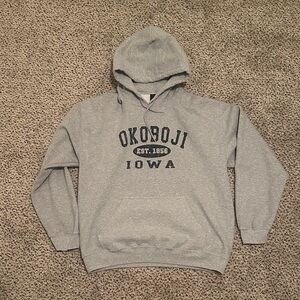 Gildan Gray Hoodie with navy Print